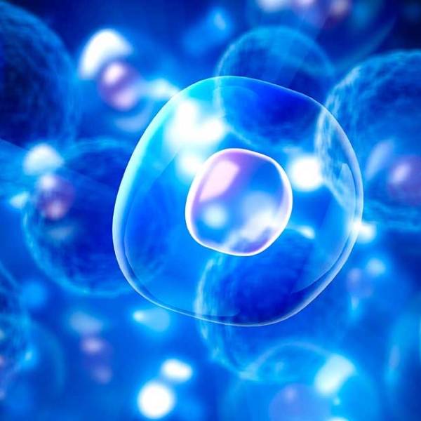 Tế bào gốc trị nám tàn nhang có thực sự hiệu quả như lời đồn?