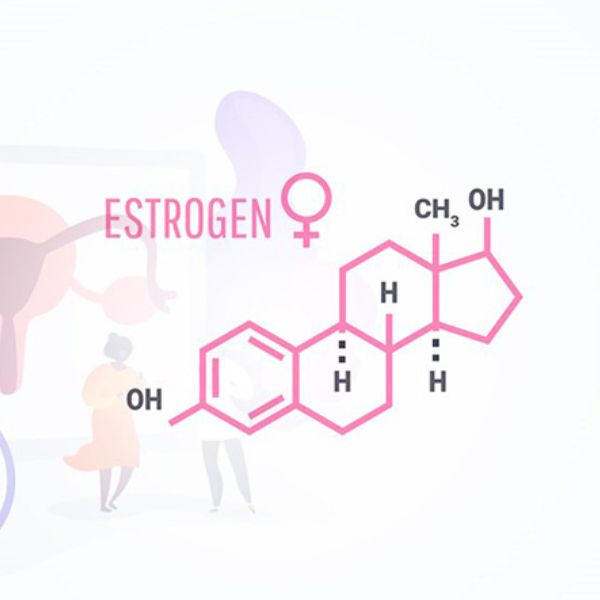 Hooc môn nữ là gì? Tìm hiểu về Hoocmon Estrogen từ A đến Z