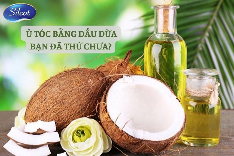 9 Cách ủ Tóc Bằng Dầu Dừa Cho Mái Tóc Chắc Khỏe. Silcot.com.vn