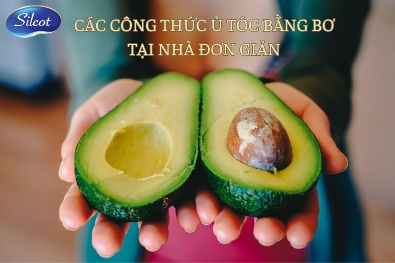 Các Cách ủ Tóc Bằng Bơ Cho Mái Tóc Luôn Mềm Mượt Silcot.com.vn