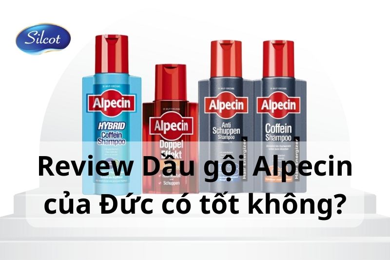 Review Dầu Gội Alpecin Caffeine Đức Tốt Không? Silcot.com.vn