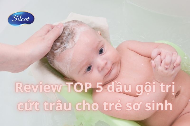 Review TOP 5 Dầu Gội Trị Cứt Trâu Cho Trẻ 2023 Silcot.com.vn