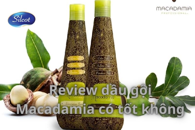 Review Chi Tiết Dầu Gội Macadamia Có Tốt? 2023 Silcot.com.vn