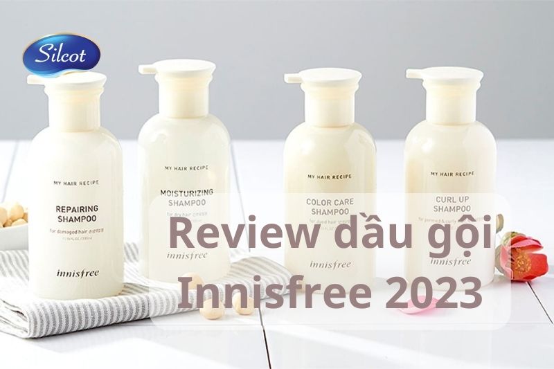 Review Dầu Gội Innisfree 2023 Có Tốt Không? Silcot.com.vn