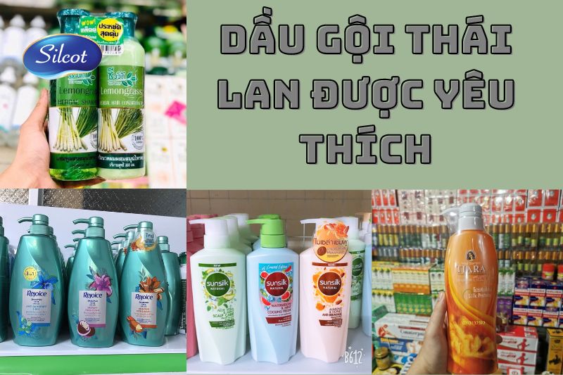 Top 10 Dầu Gội Thái Lan Được Yêu Thích Nhất 2023 Silcot.com.vn