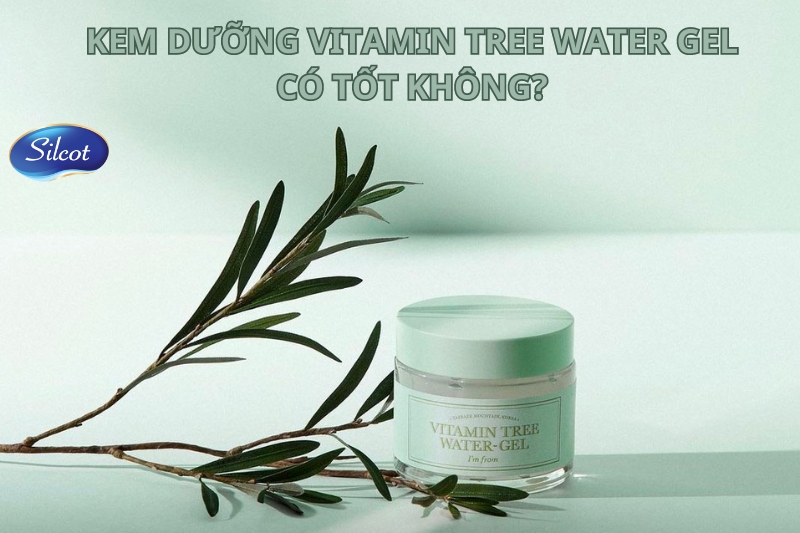 Review Kem Dưỡng Vitamin Tree Water Gel Tốt Nhất 2023 Silcot.com.vn